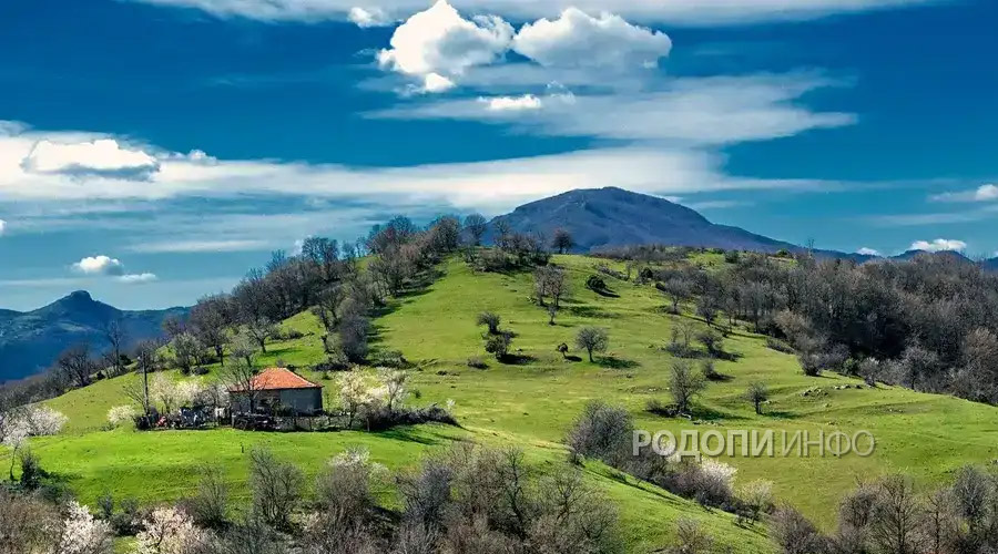 Родопи Инфо